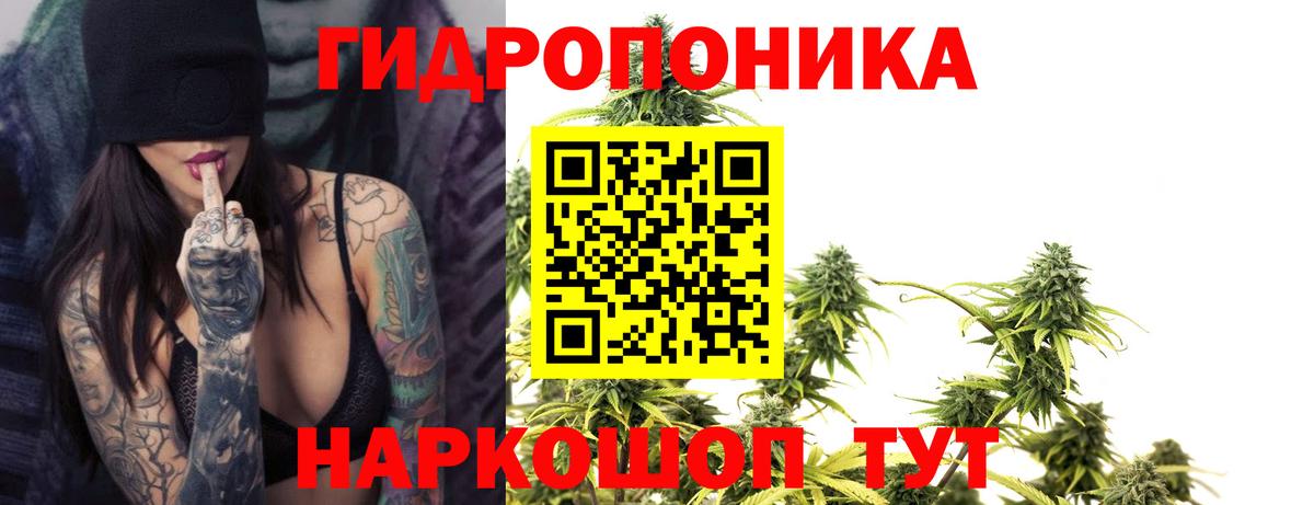 Конопля VHQ Курчатов